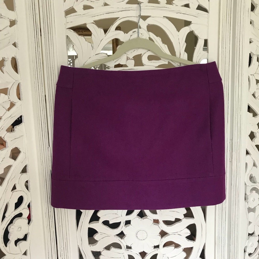 J.Crew Skirt ★